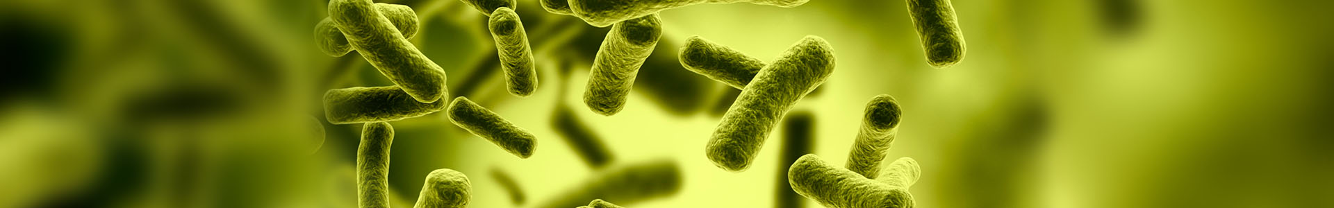 Annals Of Infectious Diseases And Therapy Somato Publications